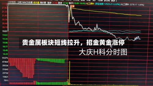 贵金属板块短线拉升，招金黄金涨停