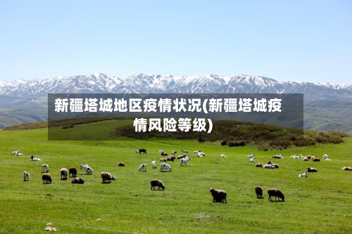 新疆塔城地区疫情状况(新疆塔城疫情风险等级)