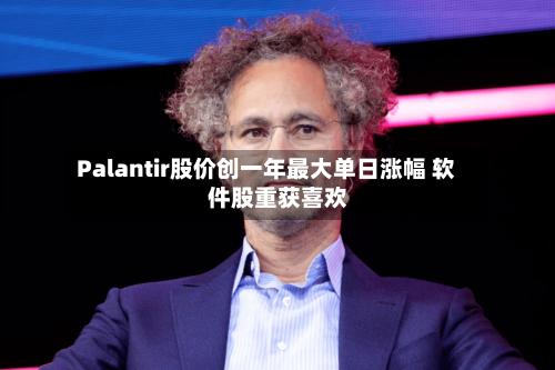 Palantir股价创一年最大单日涨幅 软件股重获喜欢