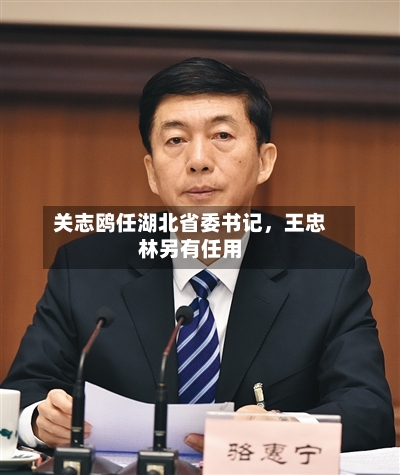 关志鸥任湖北省委书记，王忠林另有任用