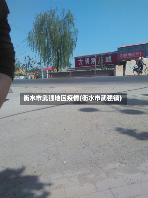 衡水市武强地区疫情(衡水市武强镇)
