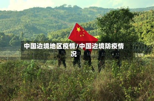 中国边境地区疫情/中国边境防疫情况