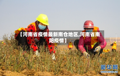 【河南省疫情最新南仓地区,河南省南阳疫情】