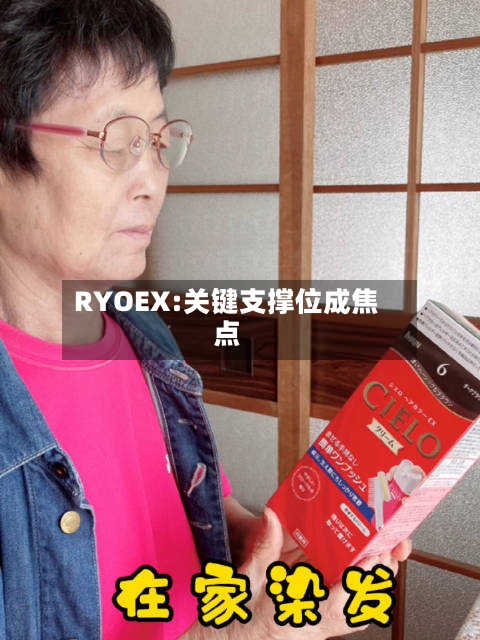RYOEX:关键支撑位成焦点