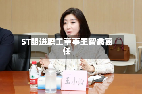 ST朗进职工董事王智鑫离任