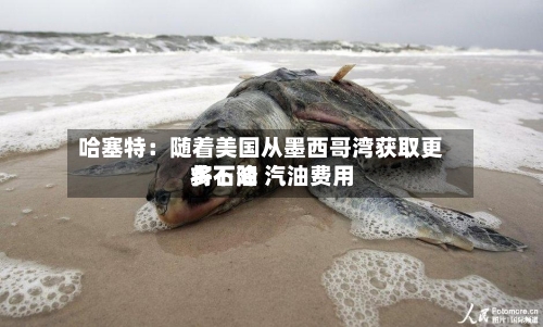 哈塞特：随着美国从墨西哥湾获取更多石油 汽油费用将下降