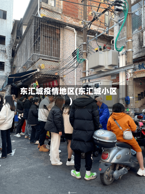 东汇城疫情地区(东汇城小区)