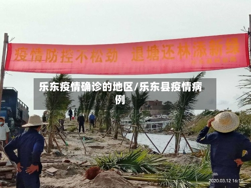 乐东疫情确诊的地区/乐东县疫情病例