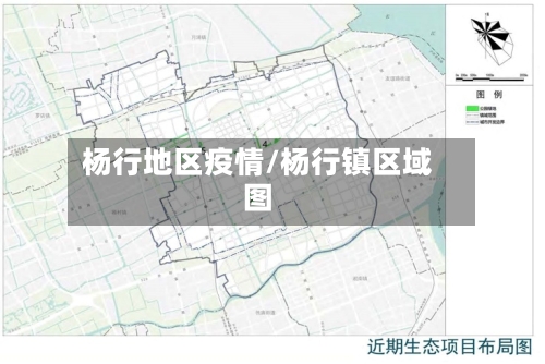杨行地区疫情/杨行镇区域图