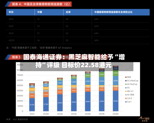 国泰海通证券：黑芝麻智能给予“增持”评级 目标价22.58港元