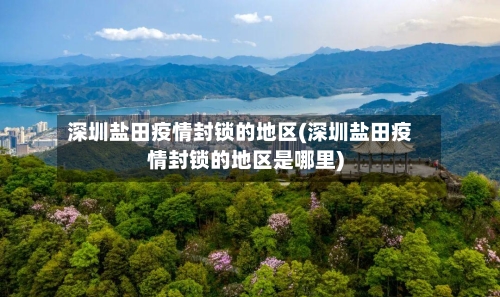 深圳盐田疫情封锁的地区(深圳盐田疫情封锁的地区是哪里)