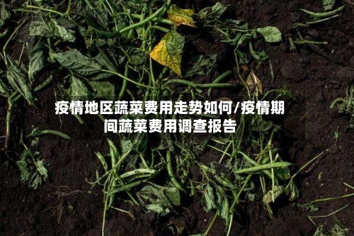 疫情地区蔬菜费用走势如何/疫情期间蔬菜费用调查报告