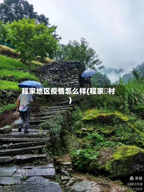 程家地区疫情怎么样(程家堨村)