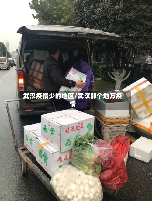 武汉疫情少的地区/武汉那个地方疫情