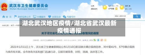 湖北武汉地区疫情/湖北省武汉最新疫情通报
