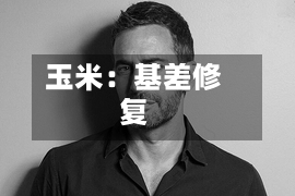 玉米：基差修复