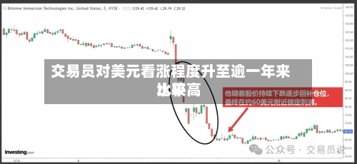 交易员对美元看涨程度升至逾一年来比较高水平