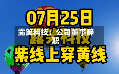 露笑科技：公司董事辞职