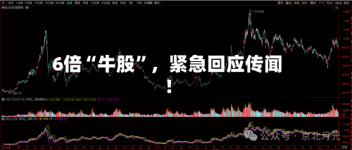 6倍“牛股”，紧急回应传闻！