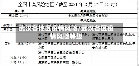 武汉各地区疫情风险/武汉各区疫情风险等级