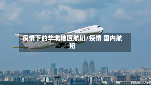 疫情下的华北地区航班/疫情 国内航班