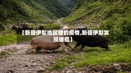 【新疆伊犁地区猪的疫情,新疆伊犁发现猪瘟】