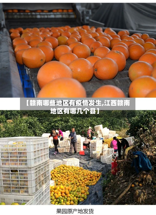 【赣南哪些地区有疫情发生,江西赣南地区有哪几个县】
