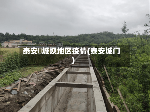 泰安堽城坝地区疫情(泰安城门)