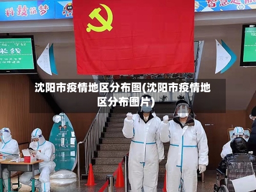 沈阳市疫情地区分布图(沈阳市疫情地区分布图片)