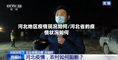 河北地区疫情现况如何/河北省的疫情状况如何