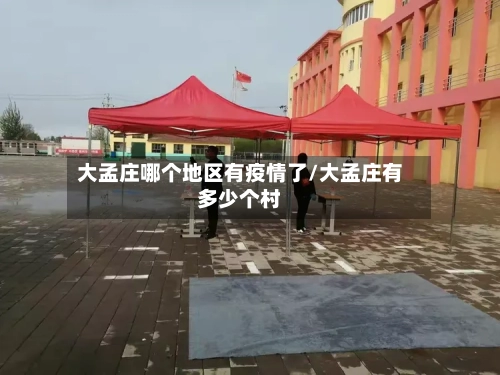 大孟庄哪个地区有疫情了/大孟庄有多少个村