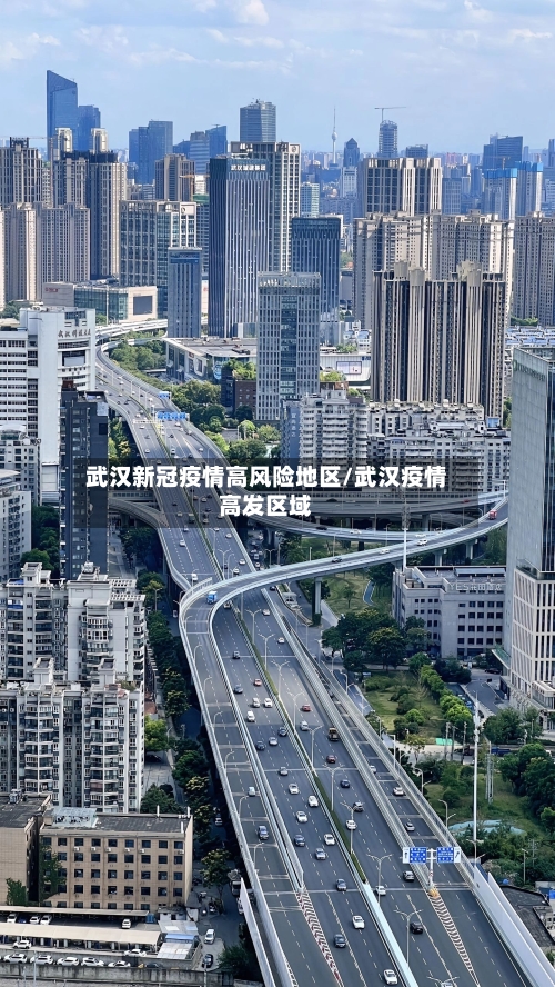 武汉新冠疫情高风险地区/武汉疫情高发区域
