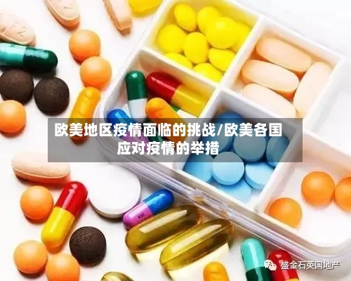 欧美地区疫情面临的挑战/欧美各国应对疫情的举措