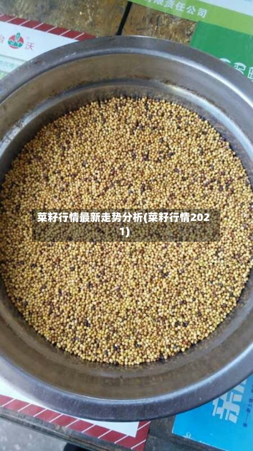菜籽行情最新走势分析(菜籽行情2021)
