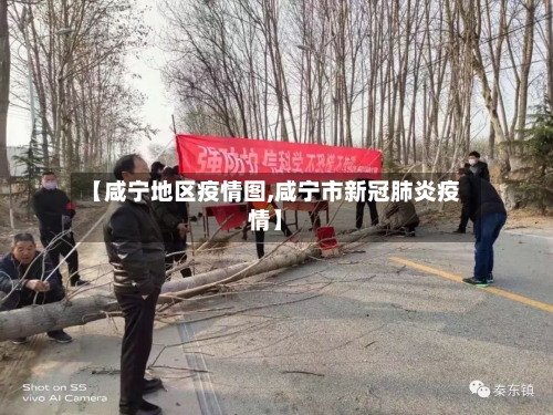 【咸宁地区疫情图,咸宁市新冠肺炎疫情】