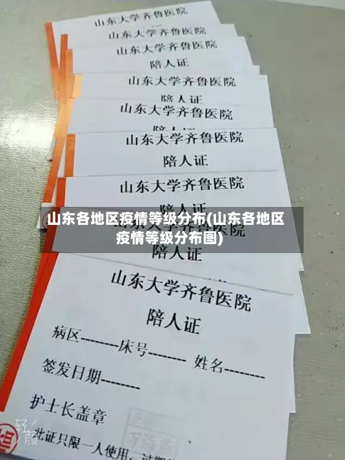 山东各地区疫情等级分布(山东各地区疫情等级分布图)