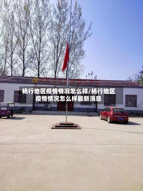 杨行地区疫情情况怎么样/杨行地区疫情情况怎么样最新消息