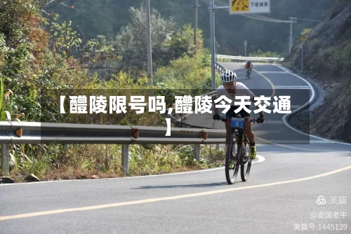 【醴陵限号吗,醴陵今天交通】