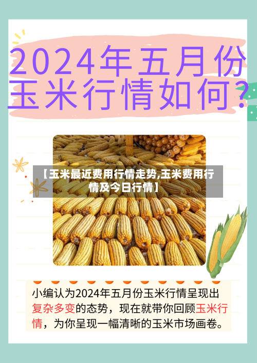 【玉米最近费用行情走势,玉米费用行情及今日行情】