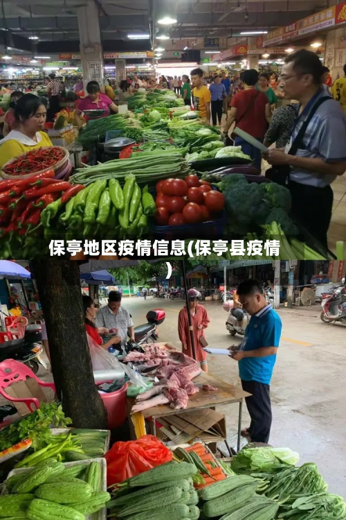 保亭地区疫情信息(保亭县疫情)