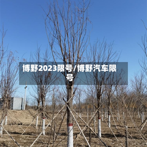 博野2023限号/博野汽车限号