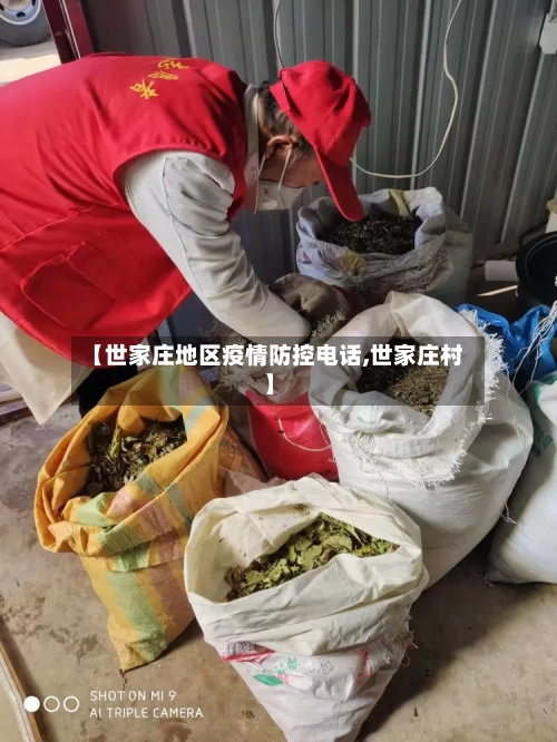 【世家庄地区疫情防控电话,世家庄村】