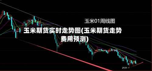 玉米期货实时走势图(玉米期货走势费用预测)
