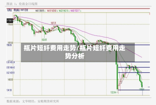 瓶片短纤费用走势/瓶片短纤费用走势分析