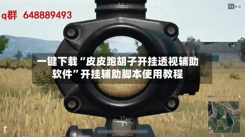 一键下载“皮皮跑胡子开挂透视辅助软件”开挂辅助脚本使用教程
