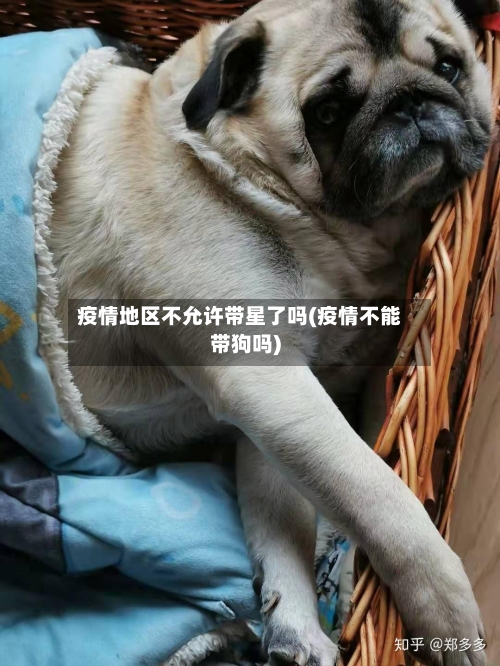 疫情地区不允许带星了吗(疫情不能带狗吗)