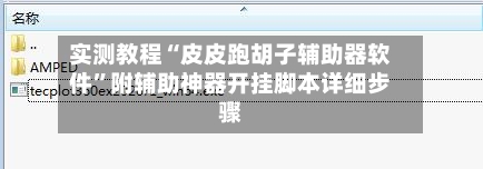 实测教程“皮皮跑胡子辅助器软件”附辅助神器开挂脚本详细步骤