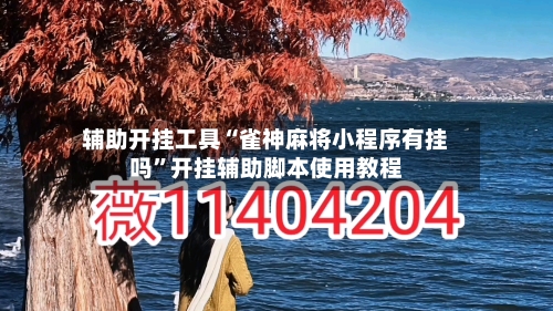 辅助开挂工具“雀神麻将小程序有挂吗”开挂辅助脚本使用教程