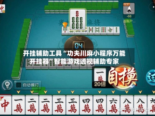 开挂辅助工具“功夫川麻小程序万能开挂器”智能游戏透视辅助专家