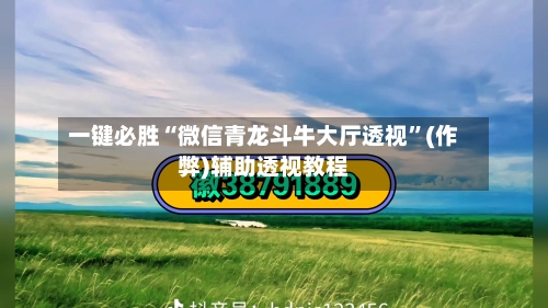 一键必胜“微信青龙斗牛大厅透视”(作弊)辅助透视教程